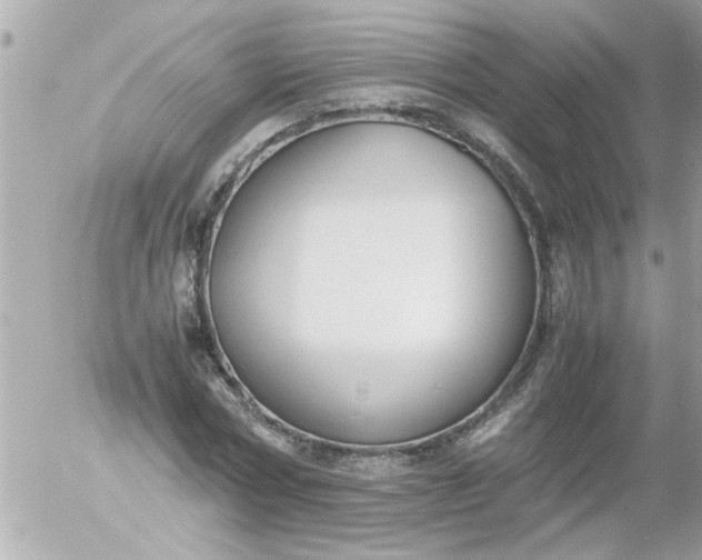 X0000055510778200508262139