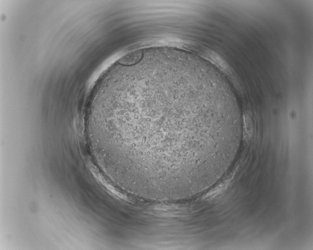 X0000055510780200508262139