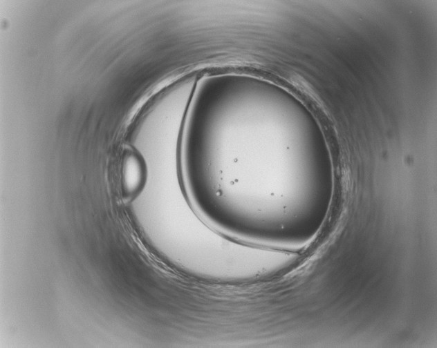 X0000055510781200508262139