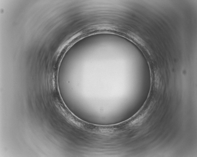 X0000055510782200508262139