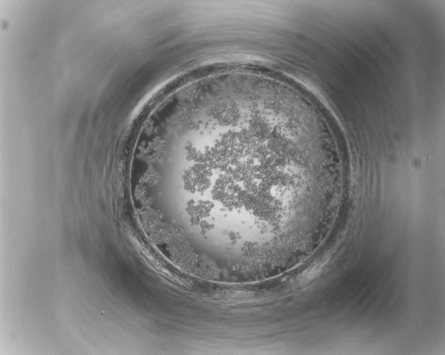 X0000055510783200508262139