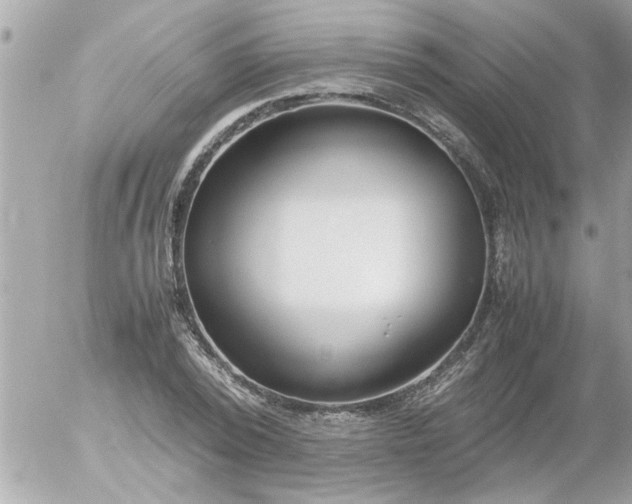 X0000055510784200508262139