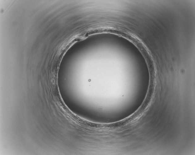 X0000055510785200508262139