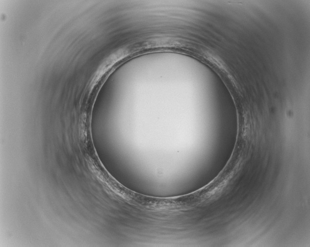 X0000055510786200508262139