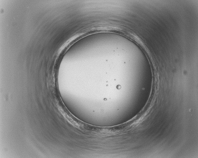 X0000055510787200508262139