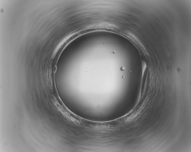 X0000055510788200508262139