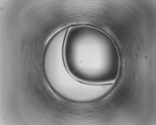 X0000055510789200508262139