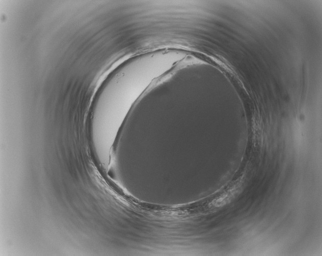 X0000055510790200508262139