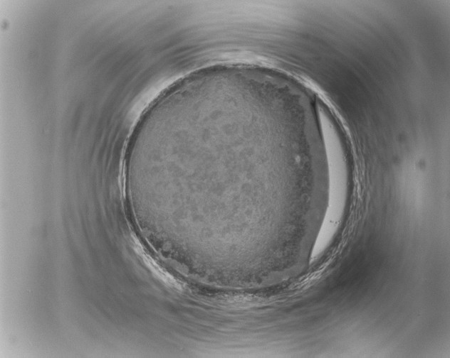 X0000055510791200508262139