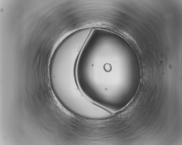 X0000055510792200508262139