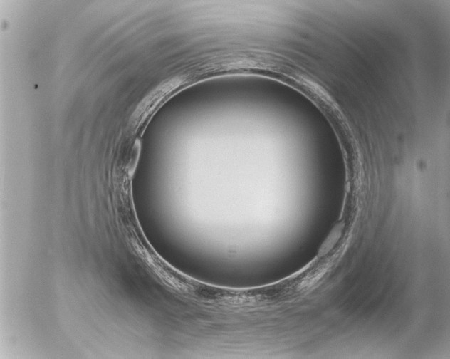 X0000055510793200508262139