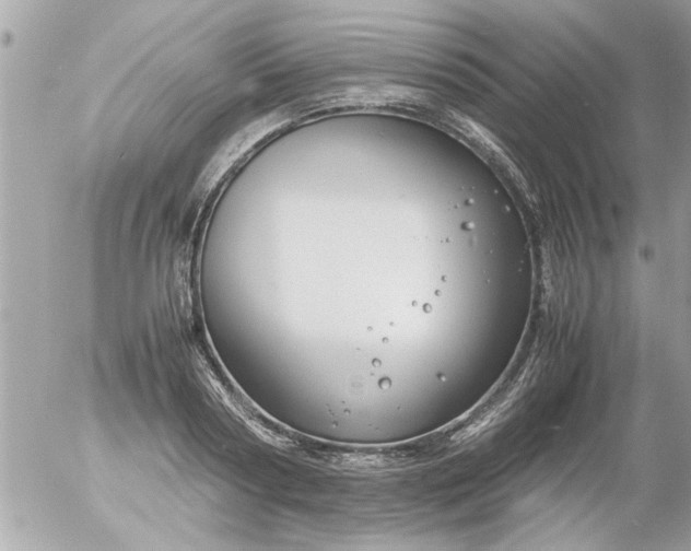 X0000055510794200508262139