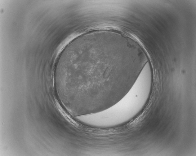 X0000055510795200508262139