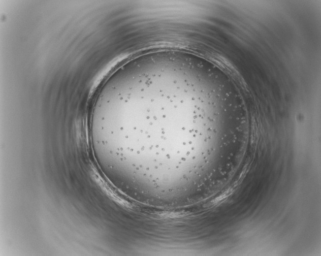 X0000055510796200508262139