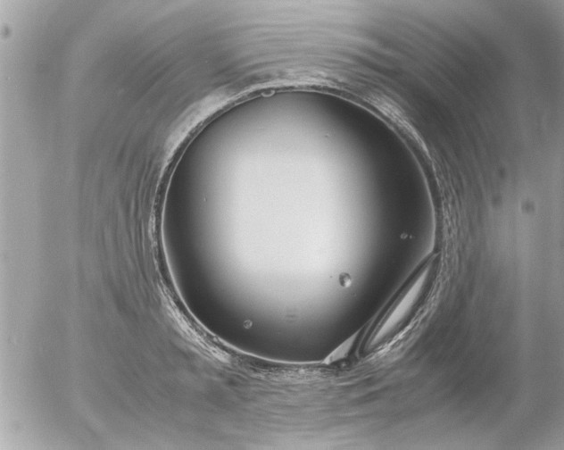 X0000055510797200508262139