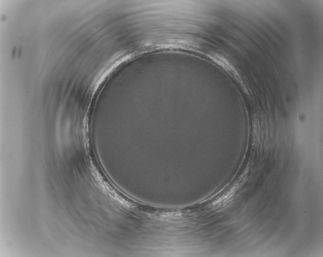 X0000055510798200508262139