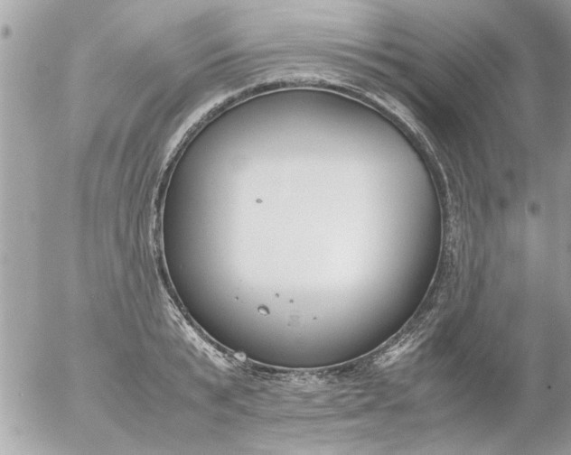 X0000055510799200508262139