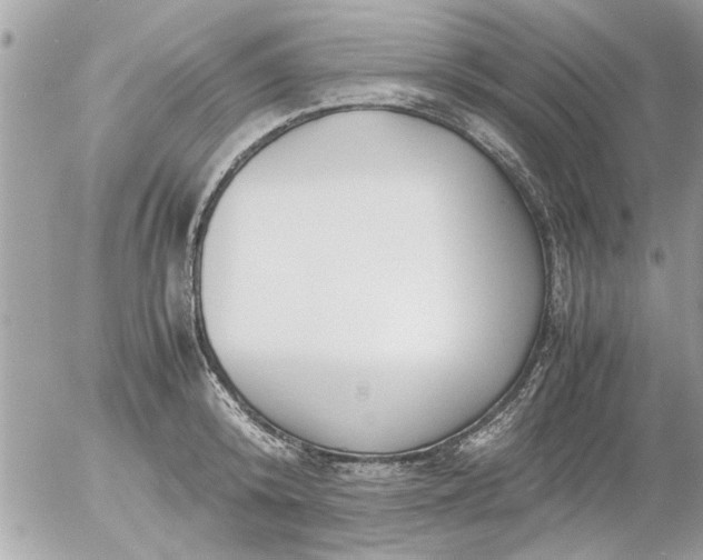 X0000055510800200508262139