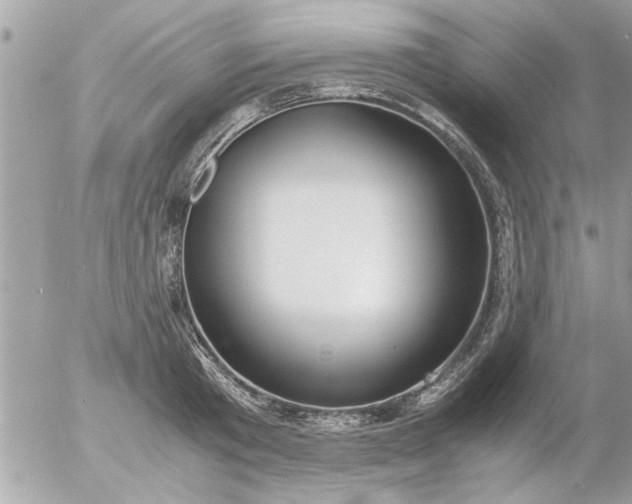 X0000055510801200508262139