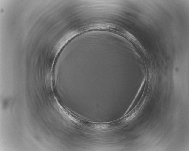 X0000055510802200508262139