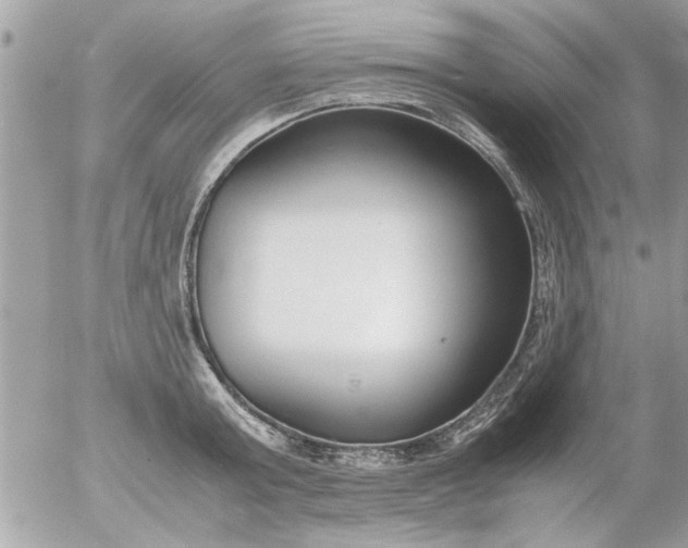 X0000055510803200508262139