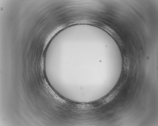 X0000055510804200508262139