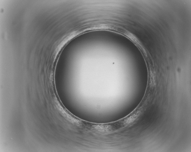 X0000055510805200508262139