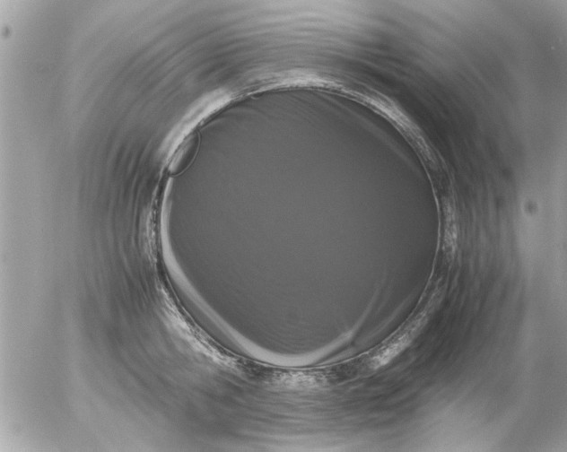 X0000055510806200508262139