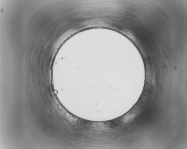 X0000055510807200508262139