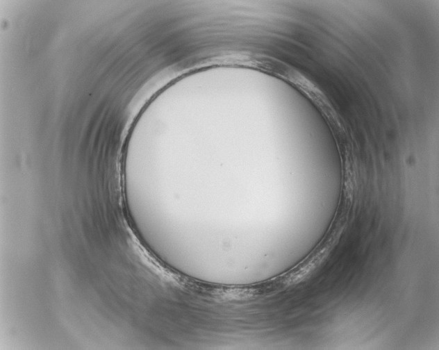 X0000055510808200508262139