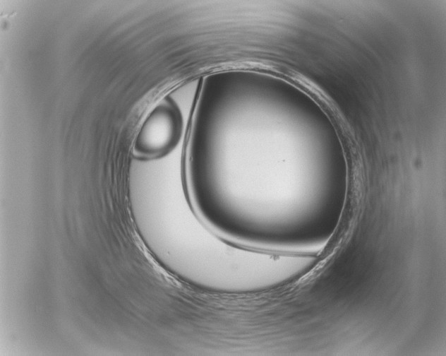 X0000055510809200508262139