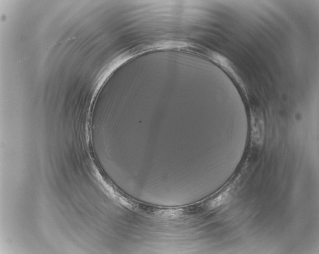 X0000055510810200508262139