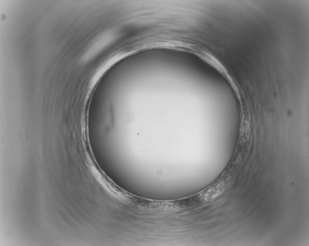 X0000055510811200508262139