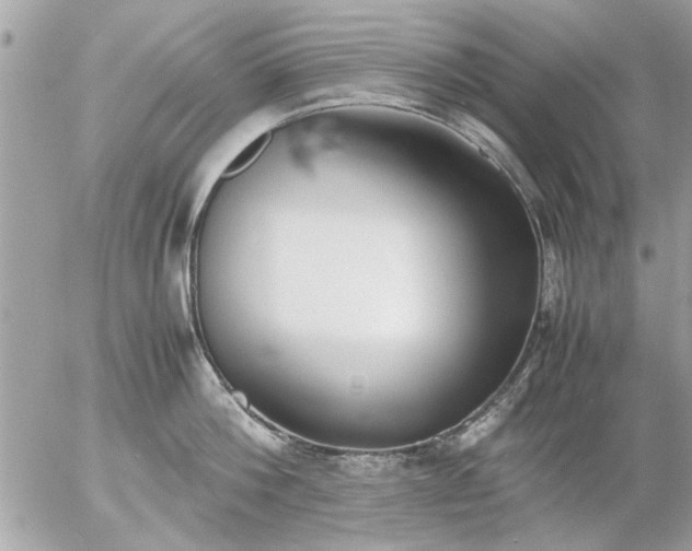 X0000055510812200508262139