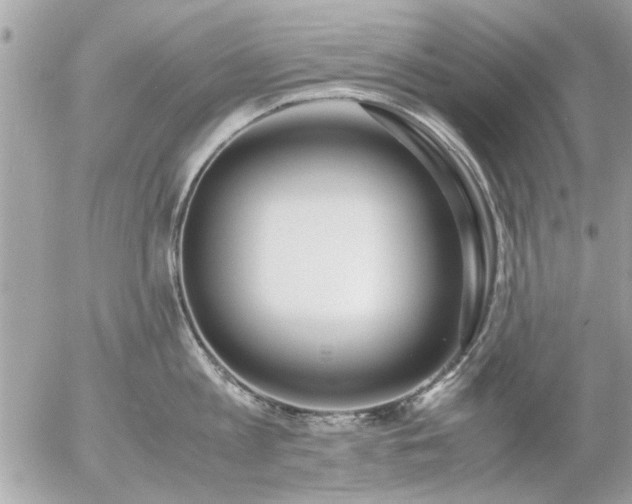 X0000055510813200508262139