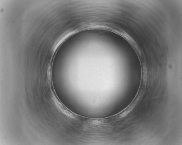 X0000055510814200508262139