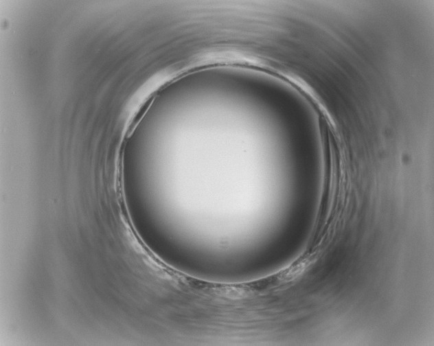 X0000055510815200508262139