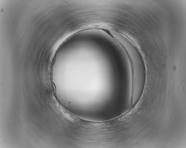 X0000055510816200508262139