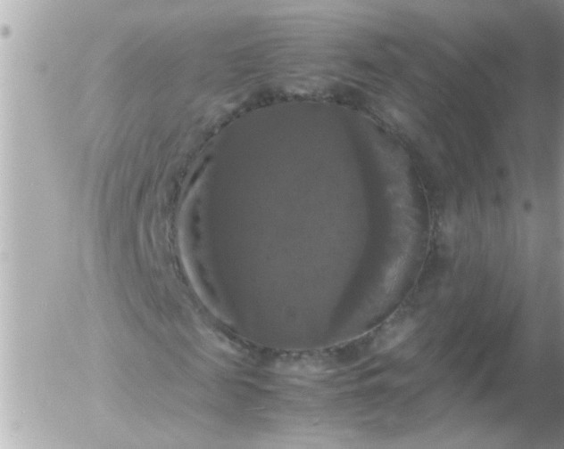 X0000055510817200508262138