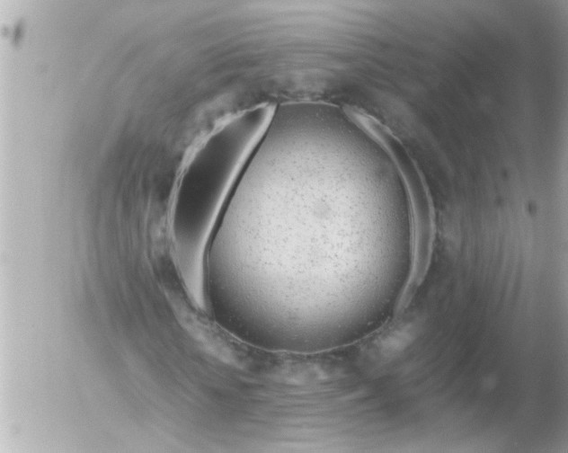 X0000055510818200508262138