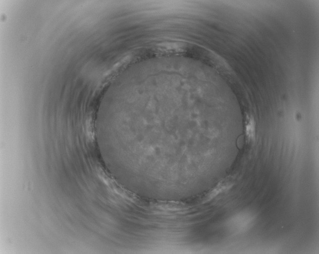 X0000055510819200508262138