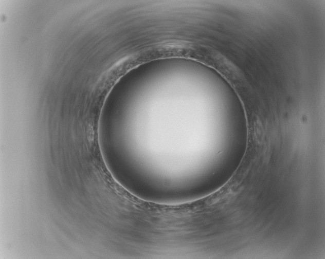 X0000055510821200508262138