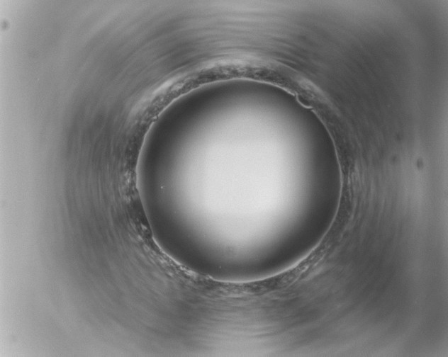 X0000055510822200508262138