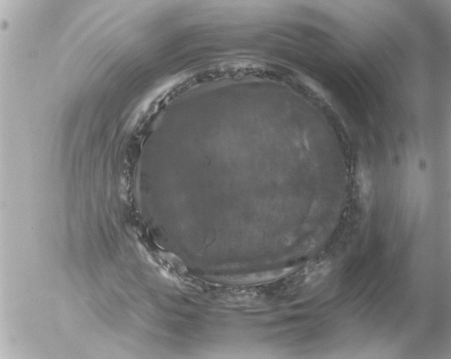 X0000055510823200508262138