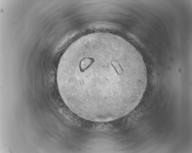 X0000055510824200508262138