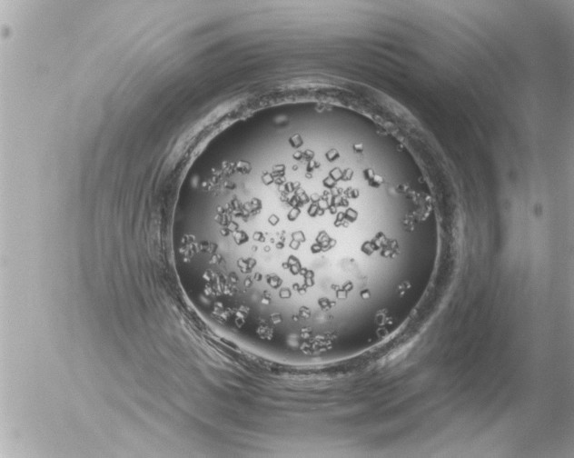 X0000055510825200508262138