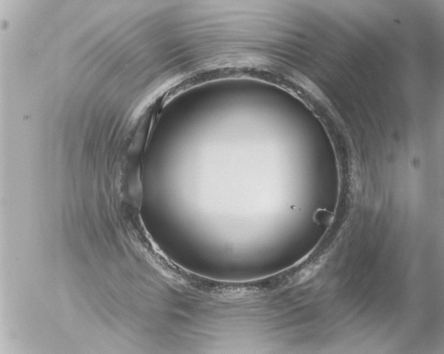 X0000055510826200508262138