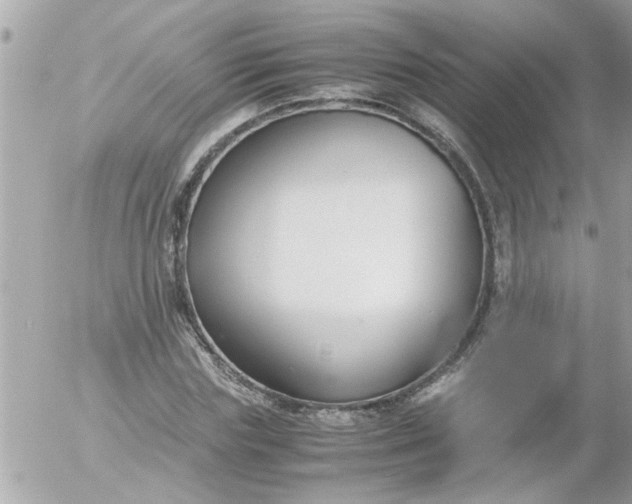 X0000055510827200508262138