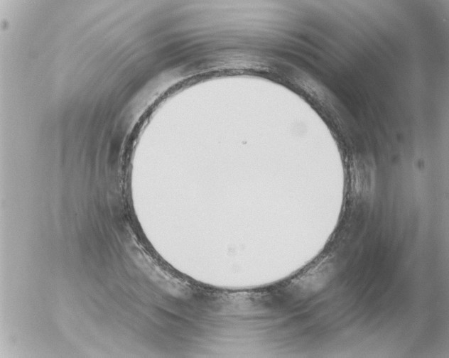 X0000055510828200508262138