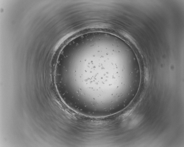 X0000055510829200508262138